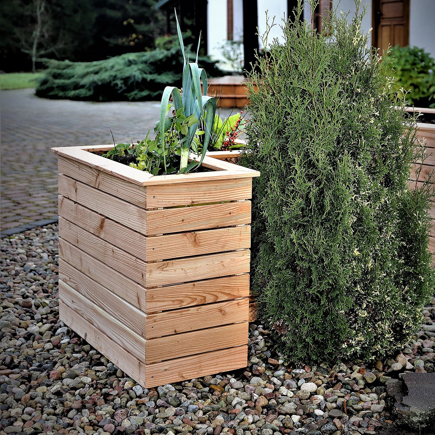 Marta Larch Planter