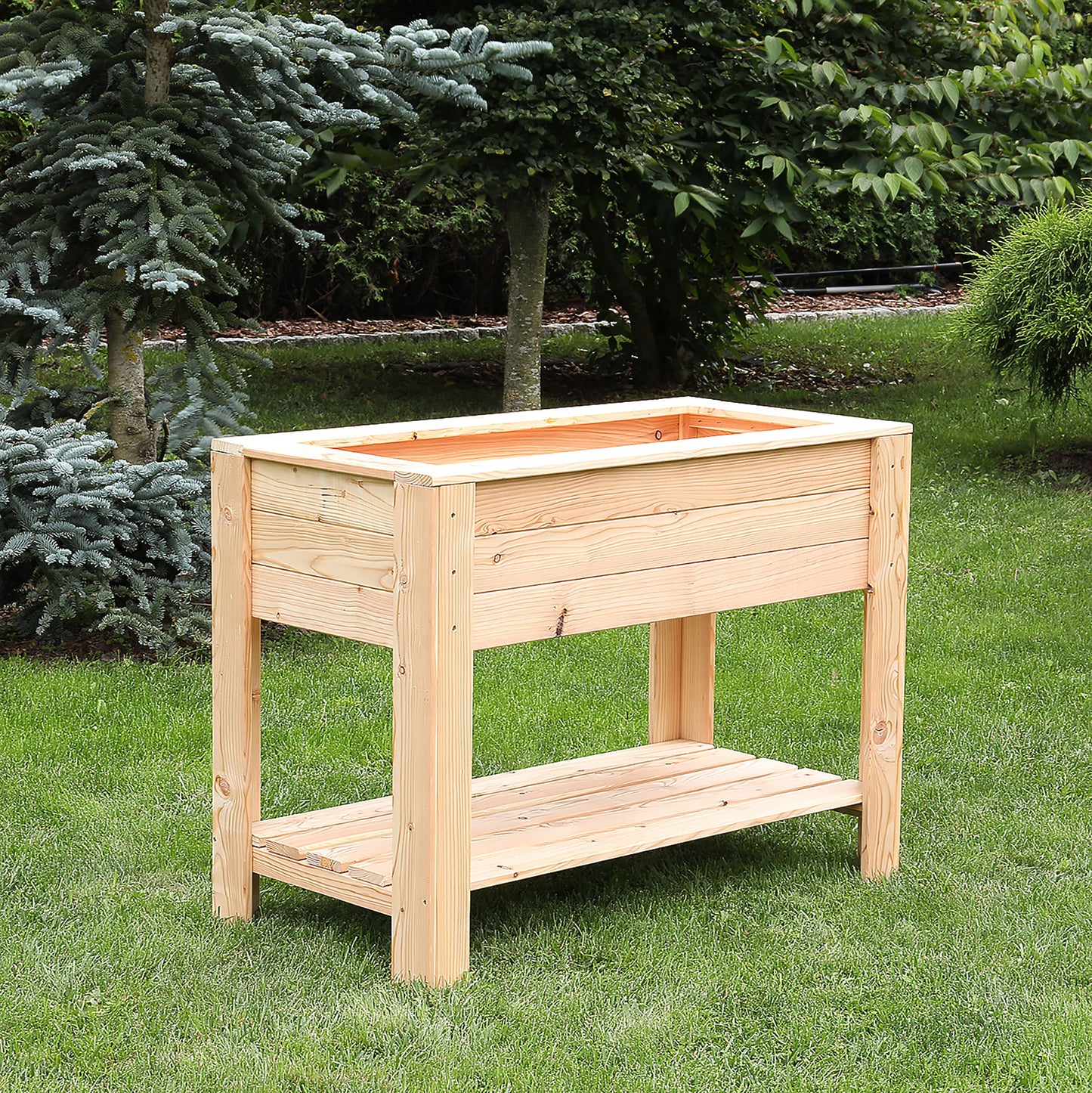 Dan Larch Planter