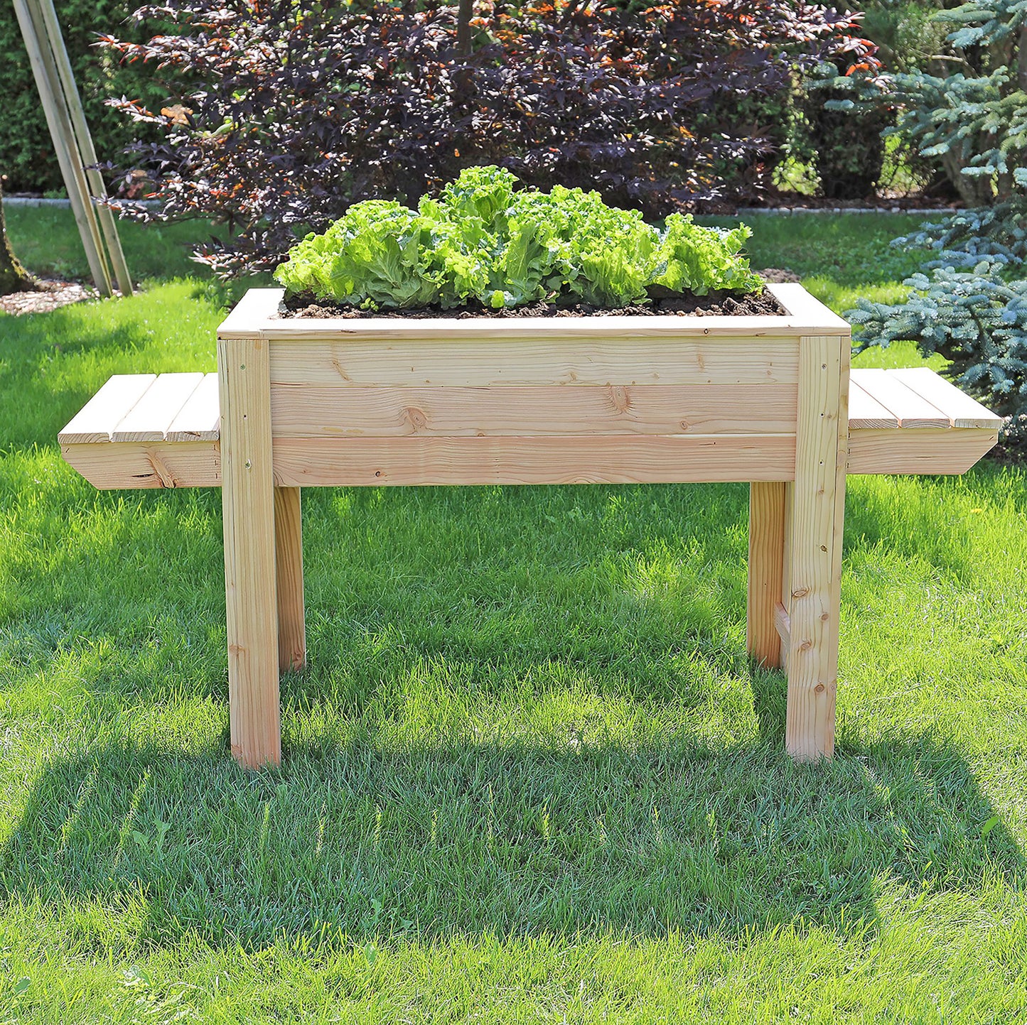 Dim Larch Planter